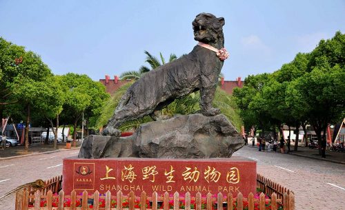 上海野生動物園演出擴聲