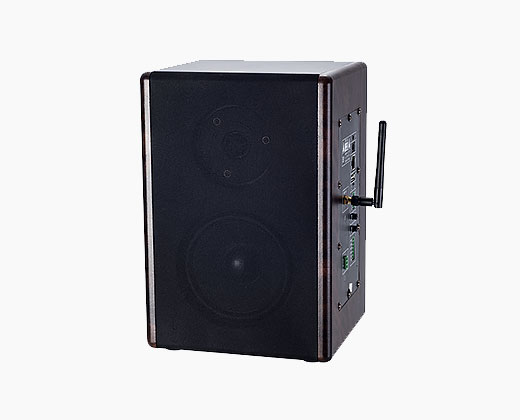 LAX SK-9523 數(shù)字網(wǎng)絡(luò)監(jiān)聽音箱